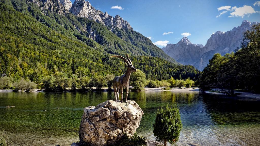 Apartment Mojstrovka With Terrace In City Center Kranjska Gora Rom bilde